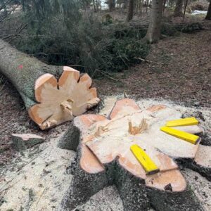 LVI-huolto omakotitalossa: 7 yleisintä vikaa ja miten ne kannattaa hoitaa ajoissa