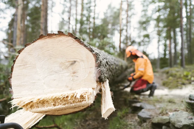 Paikan päällä tehtävä hitsaus Oulun ja Kajaanin suunnalla: milloin liikkuva palvelu on tehokkain ratkaisu?